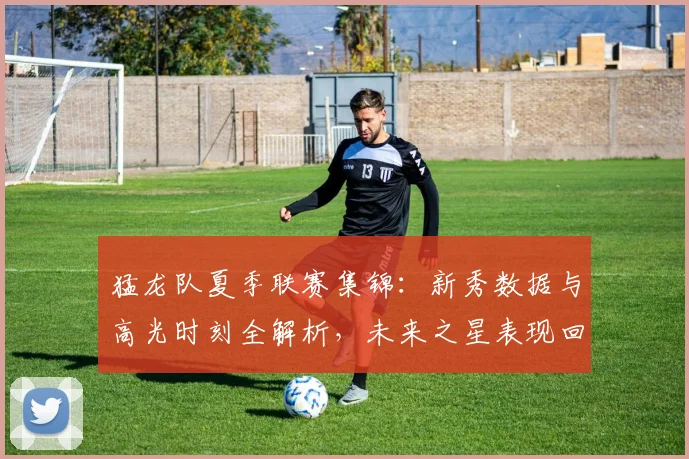 猛龙队夏季联赛集锦:新秀数据与高光时刻全解析,未来之星表现回顾